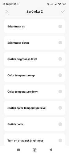WhatsApp Image 2025-12-21 at 17.42.36