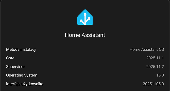 Zrzut ekranu 2025-11-12 152821