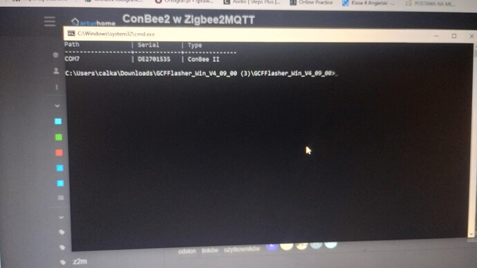 78010c78-4bba-428b-a68c-ef005372fefe