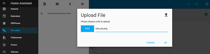 pliki-3-file-editor-2024-11-20_17-05