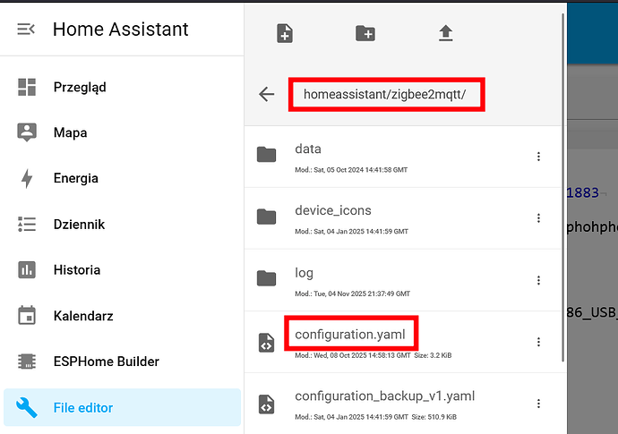 z2m-config-2025-11-09_16-40