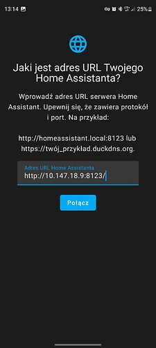 Screenshot_20240822_131437_Home Assistant