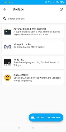 Screenshot_2024-10-17-13-23-40-973_io.homeassistant.companion.android