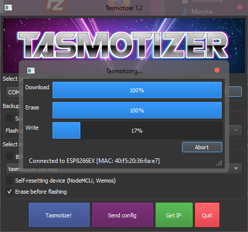 tasmotizer-1.2_CmuAj0LxKW